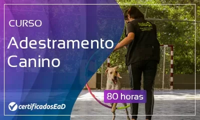 miniatura do curso