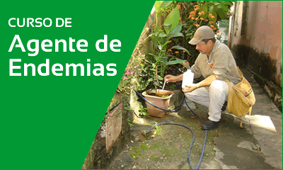 miniatura do curso