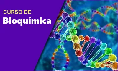 miniatura do curso