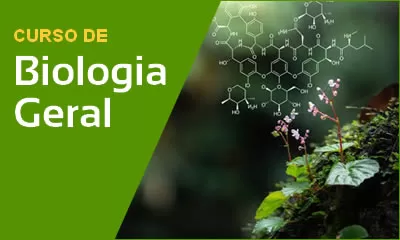miniatura do curso