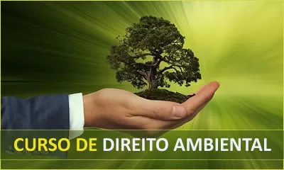 miniatura do curso