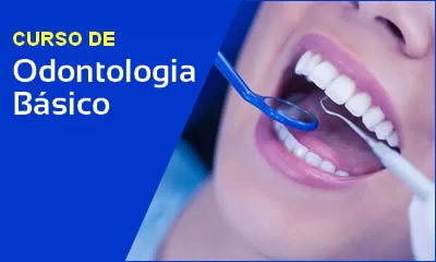 miniatura do curso