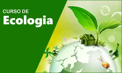 miniatura do curso