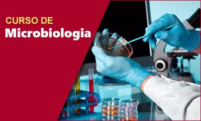 miniatura do curso