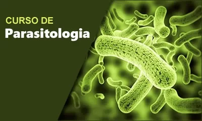 miniatura do curso